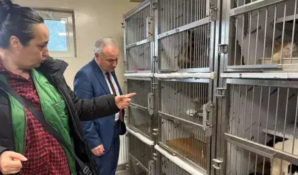 Kötü şartlarda tutulan 102 hayvana el konuldu