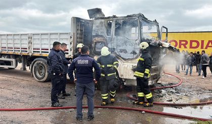 Park halindeki TIR yandı, şoför dumandan etkilendi
