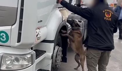 TIR'da 53 kilo skunk ele geçirildi; 2 gözaltı
