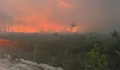 ABD'de orman yangınlarında 120'den fazla ev yandı