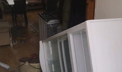 Aç kalan ayılar, pencereden girdiği yayla evini talan etti