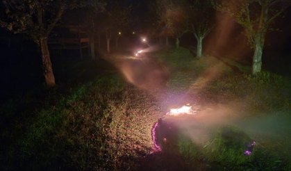 Don nöbeti: Kayısı ağaçlarını dumanla koruyorlar