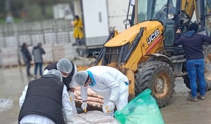 Sakarya’da skandal! 32 ton bozuk tavuk eti ele geçirildi