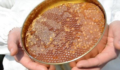 Uygunsuz balın önüne yeni düzenleme