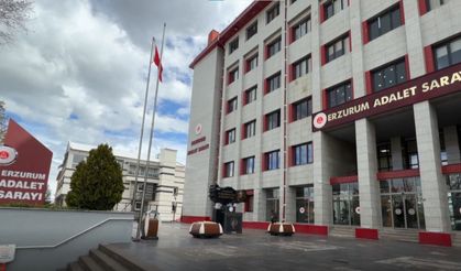 12 ilde dolandırıcılık operasyonu: 23 gözaltı