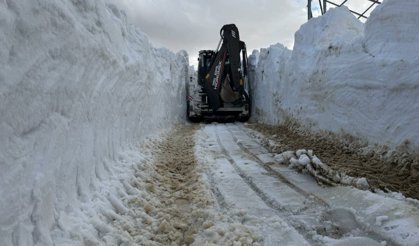 Van'ın İran sınırında 3 metreyi aşan karla mücadele