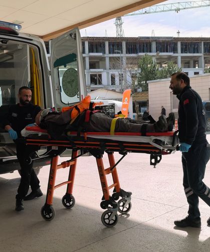 Budadığı ceviz ağacından düşüp yaralandı