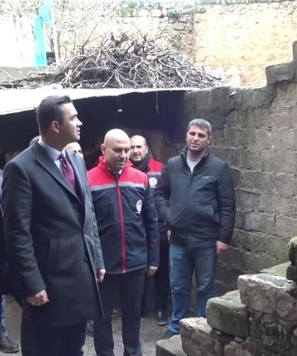 İneği telef olan kadına inek ve buzağı hediye edildi