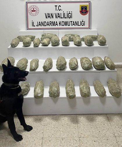 Van'da 21 kilo 350 gram skunk ele geçirildi