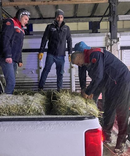Erzurum’da yolda kalan tırlardaki hayvanlar beslendi