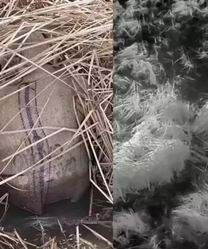 Yasa dışı avcılık yapan 13 kişiye idari işlem