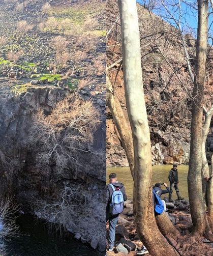 Diyarbakır’da şelale sezonu açıldı