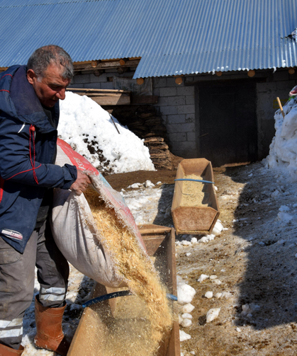 100 koyunu 4 yılda 680'e çıkardı