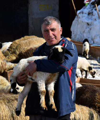 Annesiz kalan 20 günlük kuzuyu biberonla büyütüyor