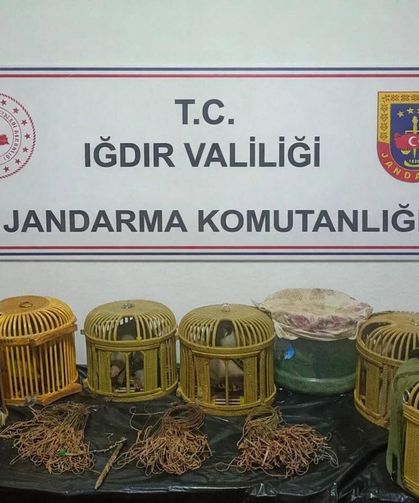 Kaçak keklik avcılarına 175 bin lira ceza