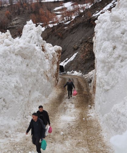 Bitlis'te çığın düştüğü köy yolunda çalışma başlatıldı