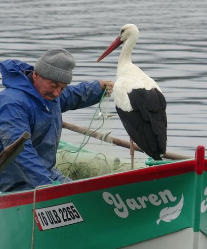 Adem Amca, 15 yıllık dostu Yaren leylekle özlem gideriyor