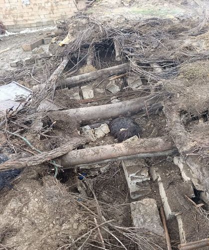 Başkale'de ahır çöktü; 20 küçükbaş telef oldu