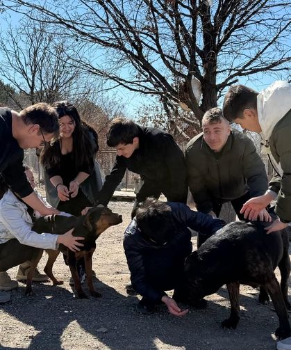 İşitme engelli öğrencilerden, engelli köpekler için kampanya