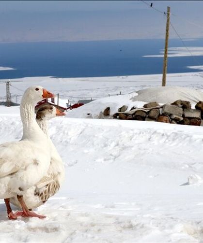 Kışkılı’da karla mücadele baharda da devam ediyor
