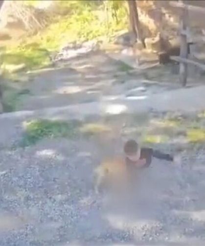 Sahipsiz köpeklerin saldırdığı çocuk yaralandı