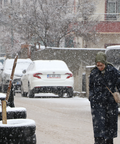Van'da mart ayının sonunda kar yağışı