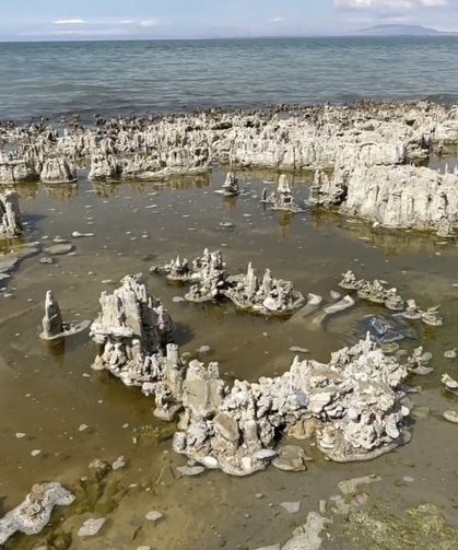 Van Gölü mikrobiyalitleri için Guinness süreci başlatıldı