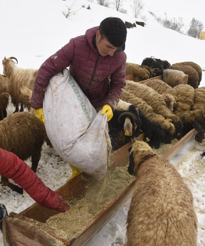 Nisan karı besicileri zor durumda bıraktı