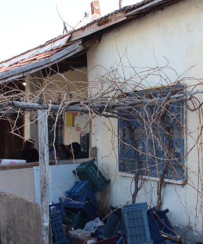 Aile içi facia: 24 el ateş açtı