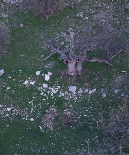 Gülistan Doku soruşturmasında 40 kilometrelik alanda arama