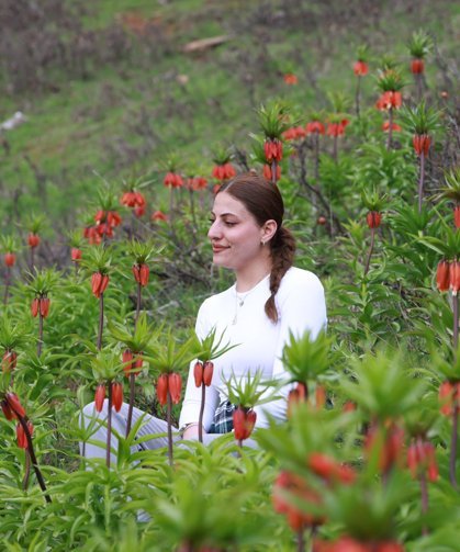 Muş'un zirveleri ters lalelerle renklendi