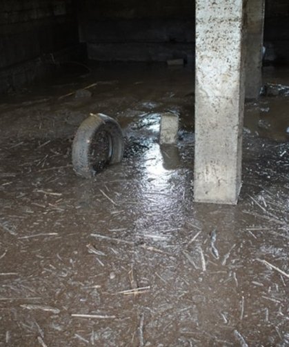 Siirt’te sağanak sele neden oldu; 35 küçükbaş öldü
