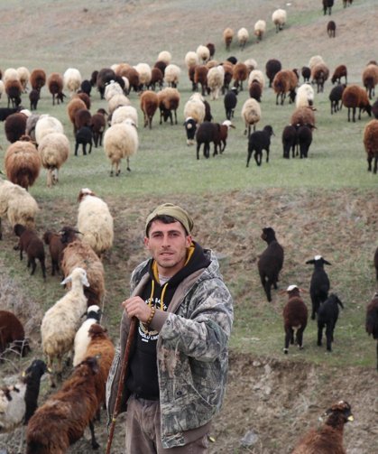 Dronla sürüyü 30 saniyede topladı