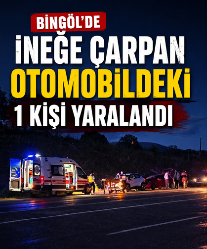 Bingöl'de ineğe çarpan otomobildeki 1 kişi yaralandı