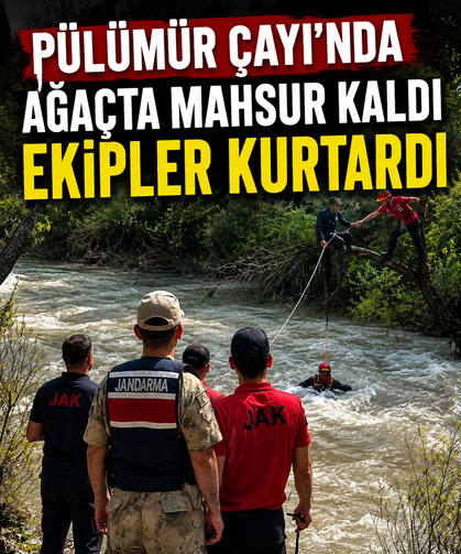 Pülümür Çayı'nda ağaçta mahsur kaldı, ekipler kurtardı
