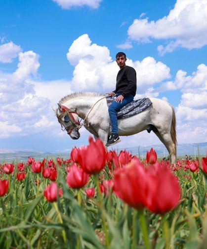 Muş Ovası’nda lale zamanı: 15 günlük şölen