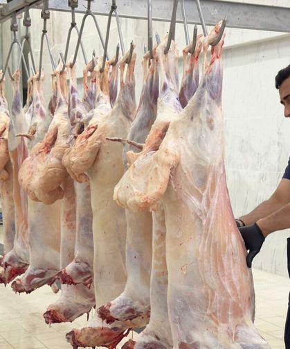 Hakkari Belediyesi’nden güvenli et hizmeti