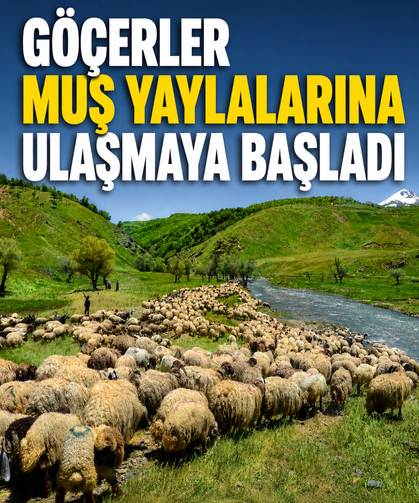 Göçerler Muş yaylalarına ulaşmaya başladı
