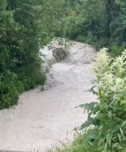 Şiddetli yağışın ardından dereler taştı, tarım arazileri su altında kaldı