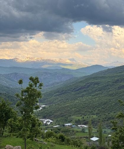 Şırnak'ta ormanlara girişler 30 Eylül'e kadar yasaklandı