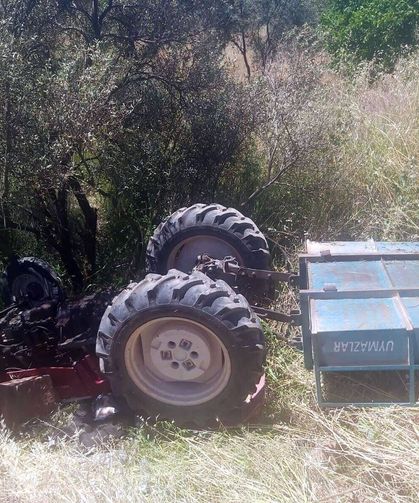 Zeytinliğe devrilen traktörün sürücüsü öldü