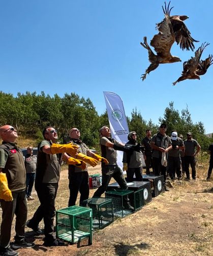 Tedavileri tamamlanan kuşlar Nemrut'ta doğaya salındı