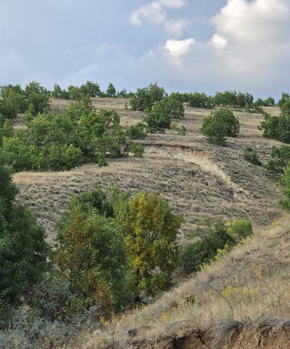 Erzincan'da heyelan riski nedeniyle 6 bağ evi tahliye edildi