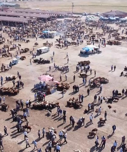 Ağrı Hayvan Borsası 30 gün süreyle kapatıldı