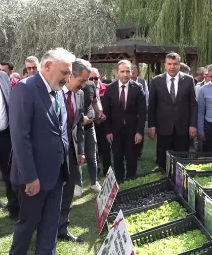 Şırnak'ta çiftçilere 152 bin 784 kışlık sebze fidesi dağıtıldı