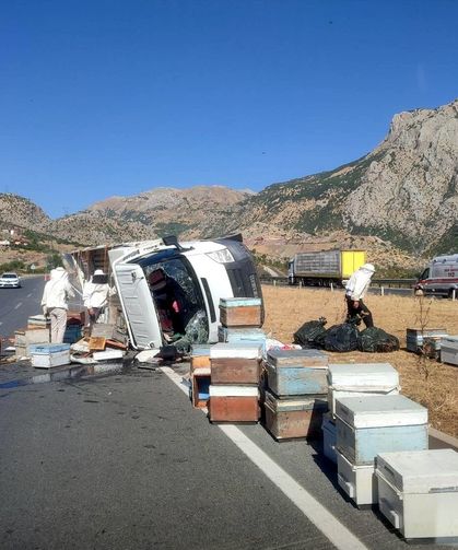 Bitlis'te devrilen arı kovanı yüklü kamyonetteki 3 kişi yaralandı