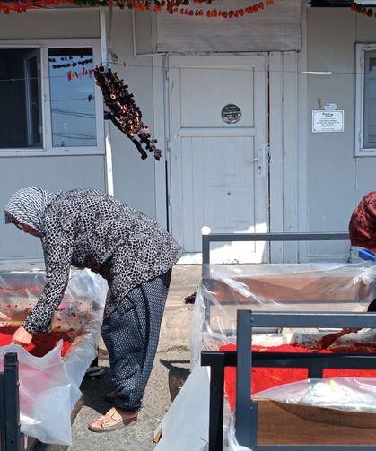 Depremzede kadınların 'salça' ve 'kurutmalık' telaşı