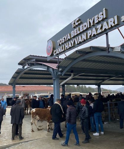 Hayvan Pazarı Şap nedeniyle kapatıldı