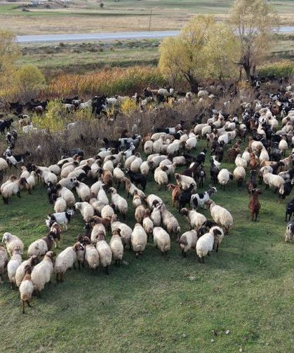 Van ve Bitlis’te göçerlerin dönüş yolculuğu başladı