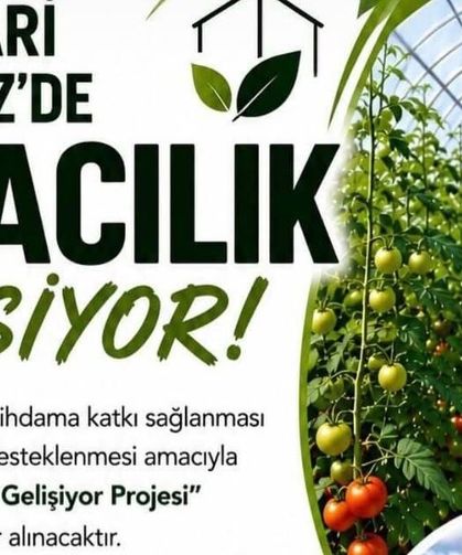 Hakkari’de seracılık gelişiyor! Başvurular başladı